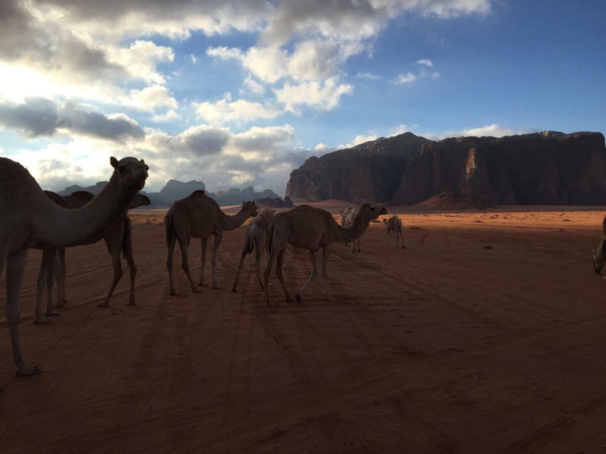 Desert Guide Camp Wadi Rum Extérieur photo